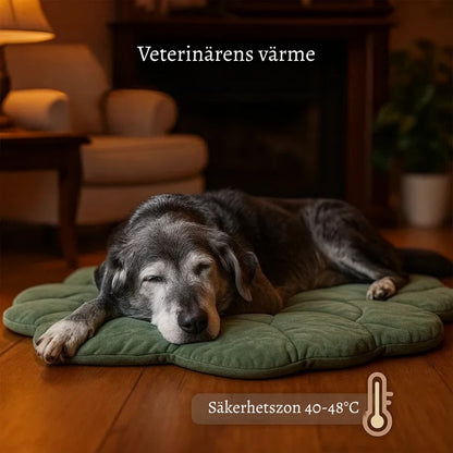 VärmPäls – Den varma liggplatsen din hund förtjänar