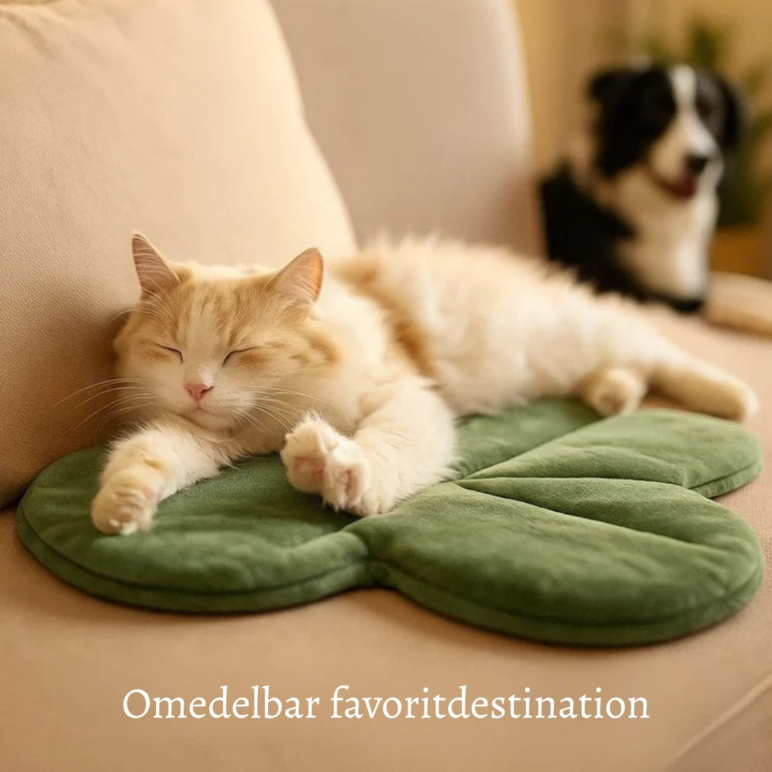 VärmPäls – Den varma liggplatsen din hund förtjänar