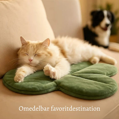 VärmPäls – Den varma liggplatsen din hund förtjänar