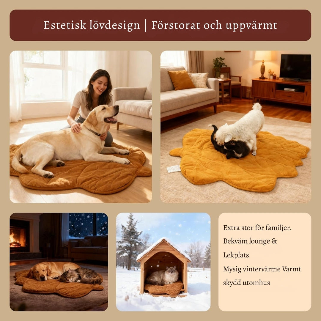 VärmPäls – Den varma liggplatsen din hund förtjänar