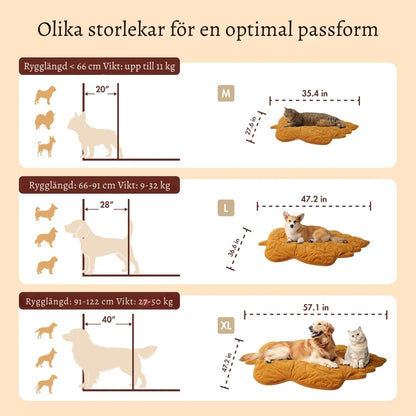 VärmPäls – Den varma liggplatsen din hund förtjänar